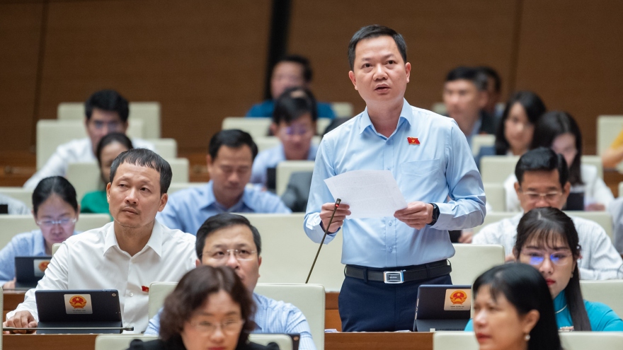 Quốc hội tranh luận xung quanh phim “Đất rừng phương Nam”, "lạm phát hoa hậu"